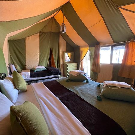 Roses Desert Camp Merzouga Esterno foto